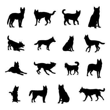 Sibirya Husky köpek siluetleri, Köpek silueti koleksiyonu