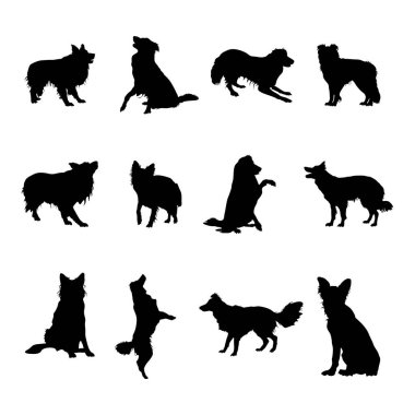 Border collie dog silhouettes, Border collie silhouette collection clipart