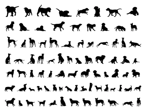 Σκυλιά Σιλουέτες Σκύλος Συλλογή Σκύλος Σιλουέτα Μαύρο Bundle — Διανυσματικό Αρχείο