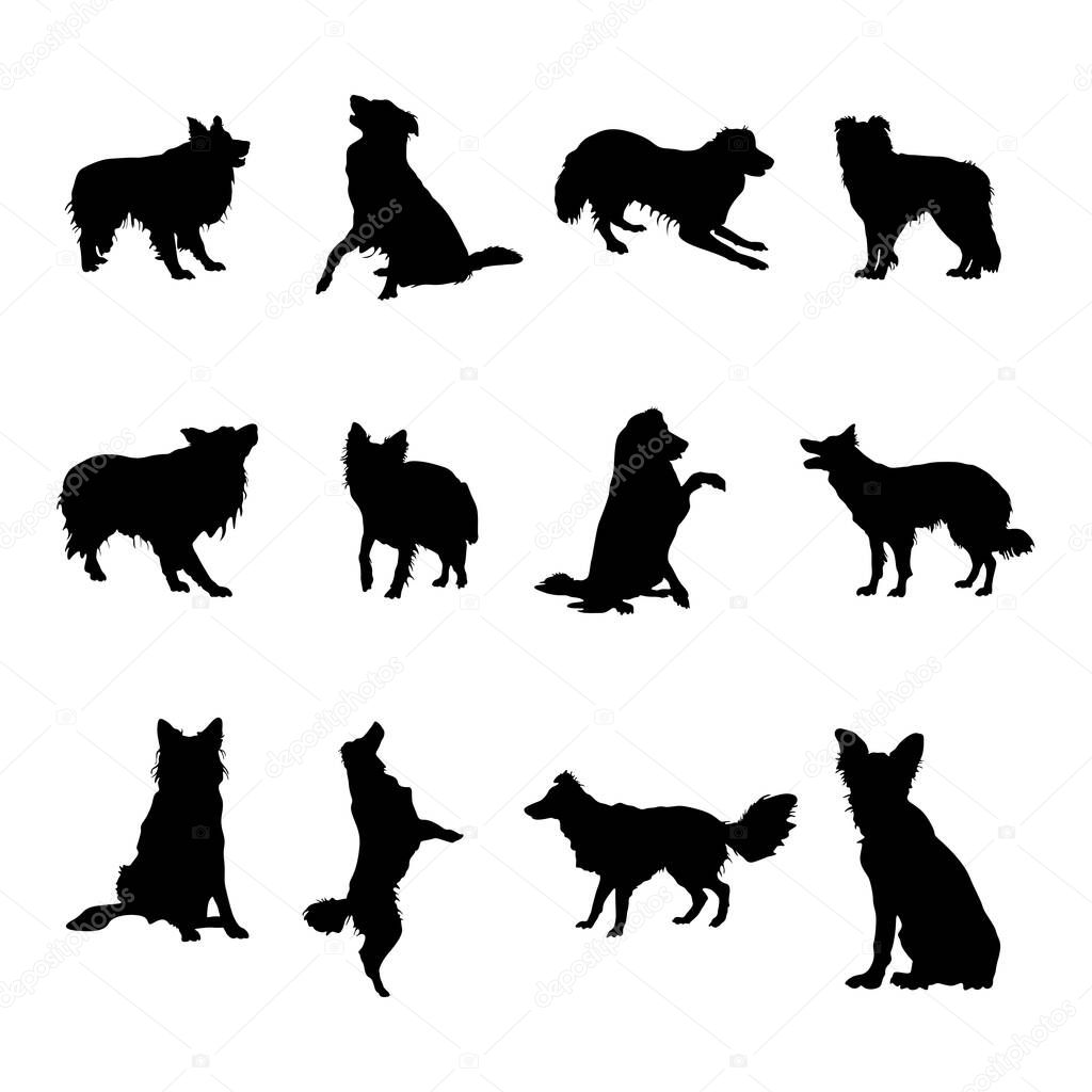 Border collie dog silhouettes, Border collie silhouette collection