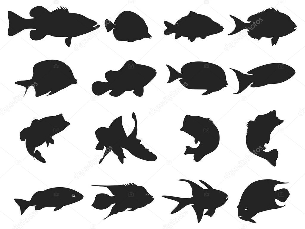 Fish silhouettes Collection, Fish silhouettes Vector.