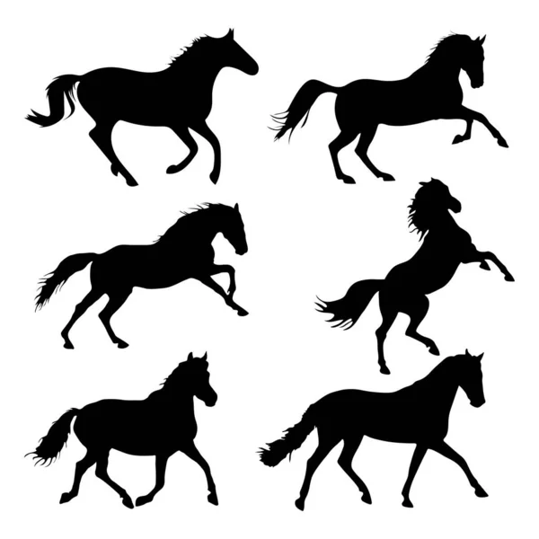 Coleção Silhuetas Cavalos Conjunto Silhuetas Cavalos —  Vetores de Stock