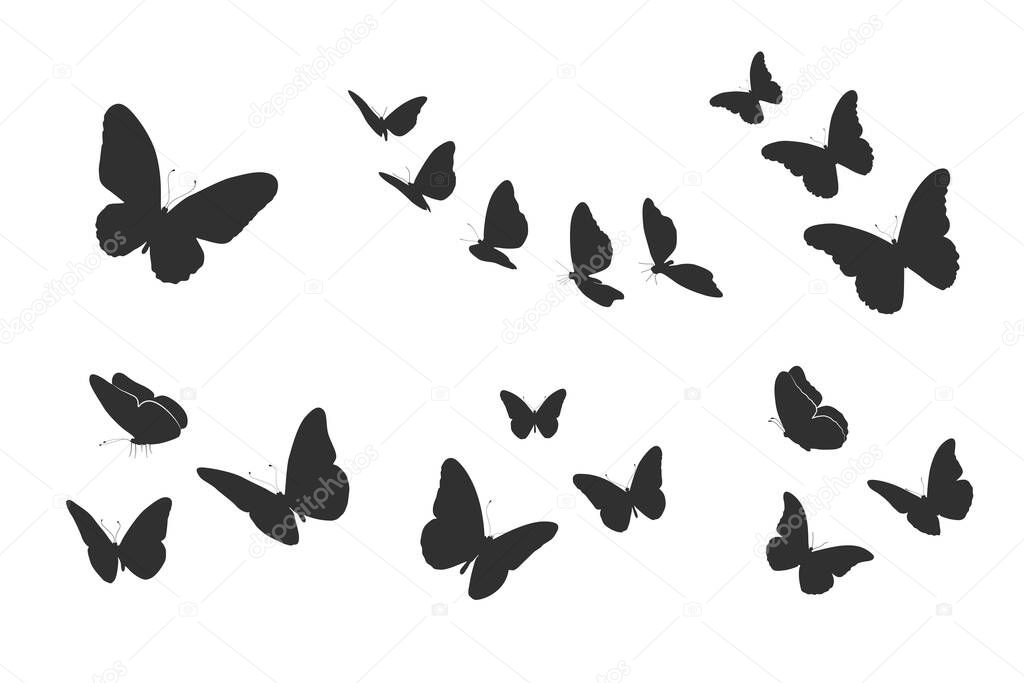 Flying butterfly silhouettes, Butterflies silhouette set -V02