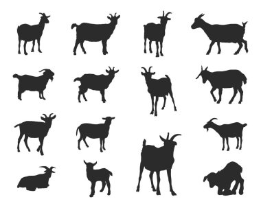 Goat silhouettes, Goat silhouette set, Goat vector 