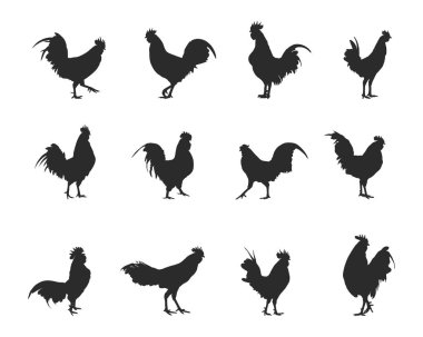 Rooster silhouettes, Rooster silhouette set, Rooster animal silhouette