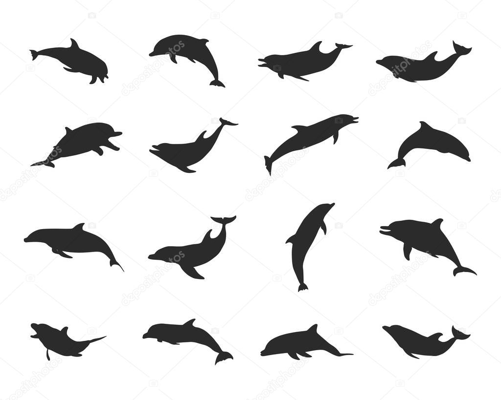 Dolphin silhouettes, Jumping dolphins silhouette, Dolphin vector