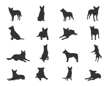 Australian cattle dog silhouettes, Australian cattle silhouettes, Australian cattle dog SVG
