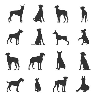 Dobermann dog silhouettes, Dobermann silhouette, Dobermann svg, Dobermann vector