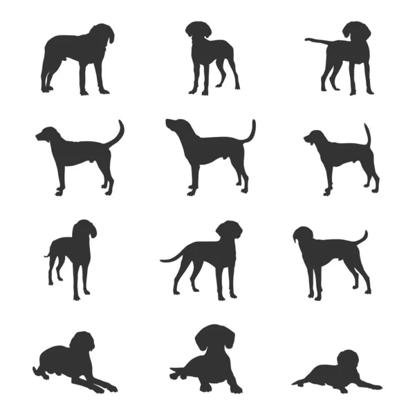 American Foxhound Dog Silhouettes American Foxhound Silhouette American Foxhound Svg — Wektor stockowy