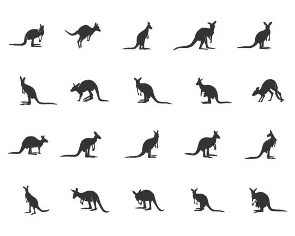 Kangaroo Silhouettes Kangaroo Svg Kangaroo Silhouette Vector Illustration — 스톡 벡터