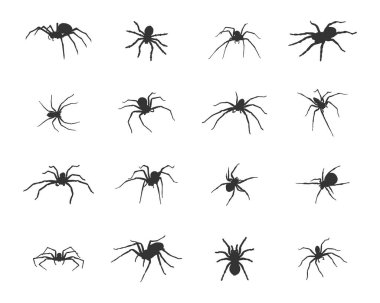 Örümcek silueti, Örümcek SVG, Örümcek vektör simgesi.