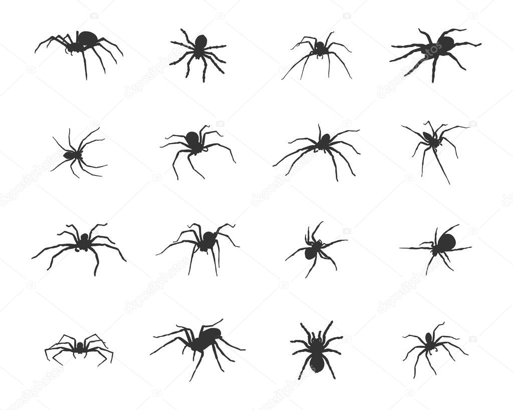Spider silhouette, Spider SVG, Spider vector icon.