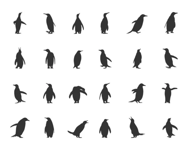 Pingüinos Silueta Pingüino Clipart Pingüino Svg Pingüino Ilustración — Vector de stock