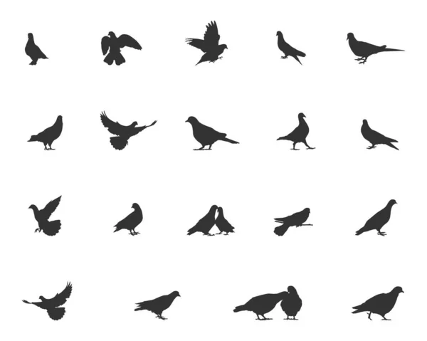 鳩のシルエット 飛行鳩のシルエット 鳥のシルエット 鳩Svg 鳩クリップ — ストックベクタ