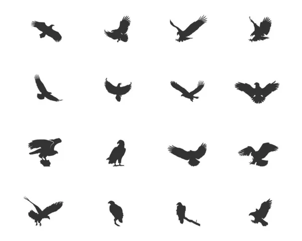 Silhouette Aigle Silhouette Aigle Tête Blanche Silhouette Aigle Volant Aigle — Image vectorielle