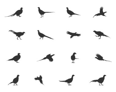 Sülün silueti, uçan sülün silueti, sülün silueti, sülün silueti sanatı..