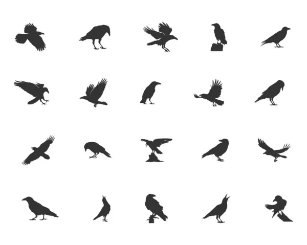Silhouette Corbeau Silhouette Corbeau Silhouette Corbeau Corbeau Illustration Vectorielle Corbeau — Image vectorielle