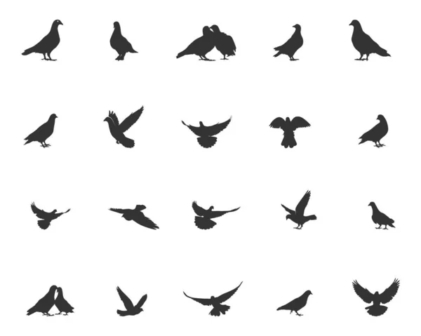 Güvercin Silueti Güvercin Svg Güvercin Vektör Çizimi Güvercin Kuş Silueti — Stok Vektör