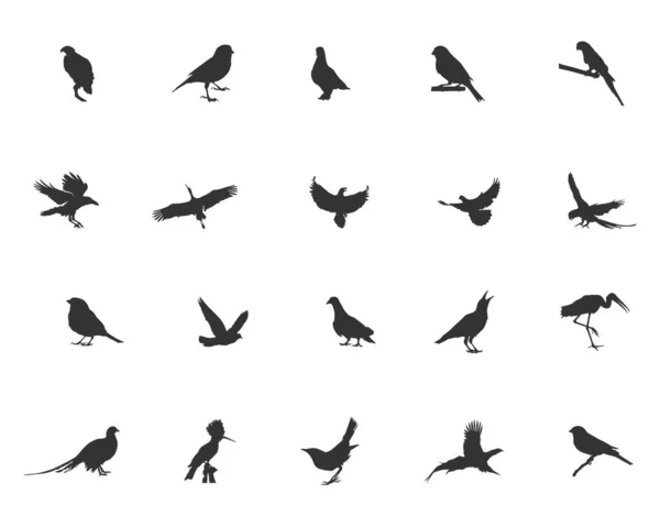 Fågelsilhuett Flygande Fågelsilhuett Fågelsilhuetter Fågelclipart Fåglar Svg Fågelvektor Set Vektorelement — Stock vektor