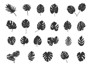 Tropik yapraklar siluet, Tropikal palmiye yaprakları vektör bırakır, siluet, Yaprak simgesi, Tropikal yapraklar vektör, Tropikal yapraklar Svg