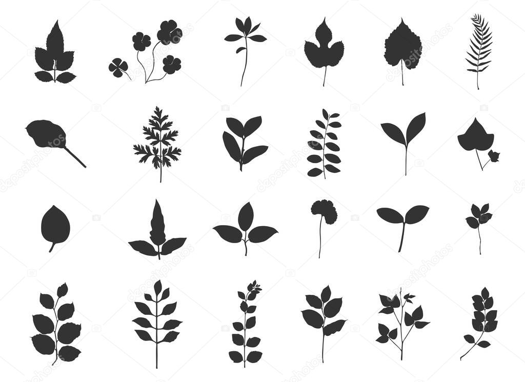 Branch leaves silhouette, Leaf silhouettes, Leaves silhouette, Decorative autumn leaf silhouettes, Branch leaves svg, Leaf Svg, Leaf icon