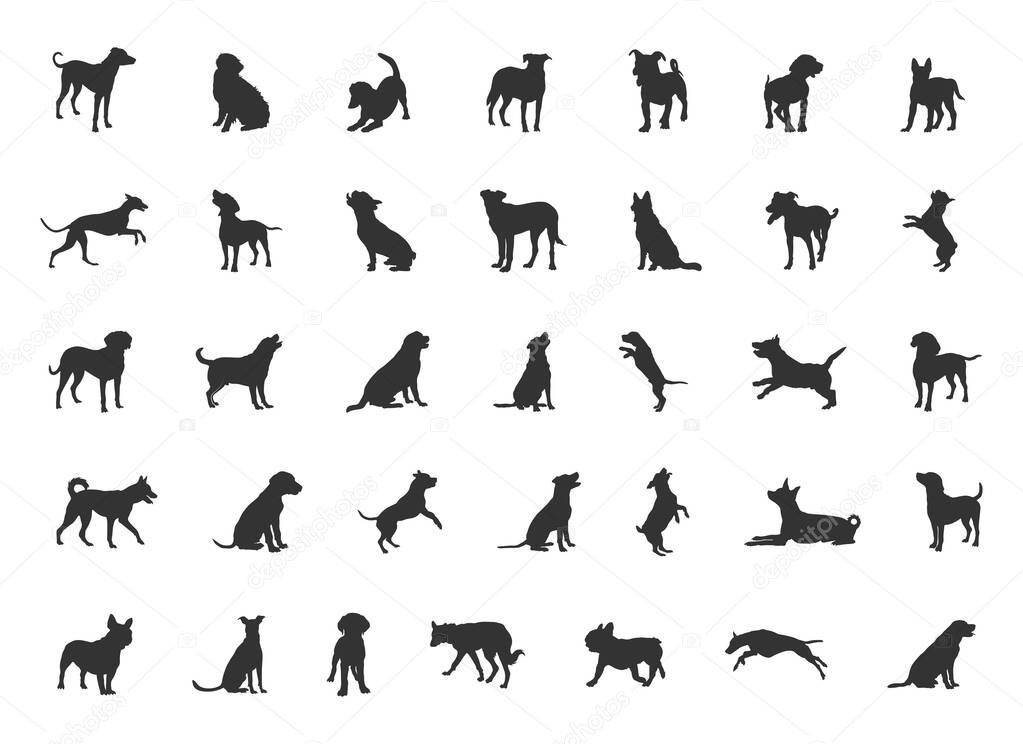 Dog silhouette, Dog silhouette collection, Dog breeds silhouettes, Dog animal SVG, Dogs vector illustration, Dogs icon