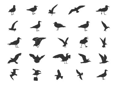 Martı siluetleri, uçan martı silueti, martı vektörü, martı svg, kuş simgesi, kuş silueti