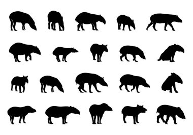 Tapir siluetleri, Malezya tapir silueti Tapir vektör seti Tapir Svg, Tapir hayvan demeti