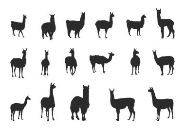 Lama siluetleri, Lama silueti, Lama svg, Lama svg, Lama hayvan silueti