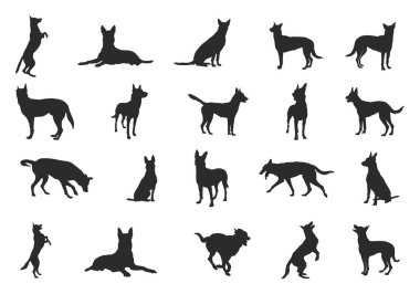 Belçika malinois silueti, Belçika malinois köpek siluetleri, köpek siluetleri, köpek ikonu, Belçika malinois clipart, köpek vektör ilülasyonu.
