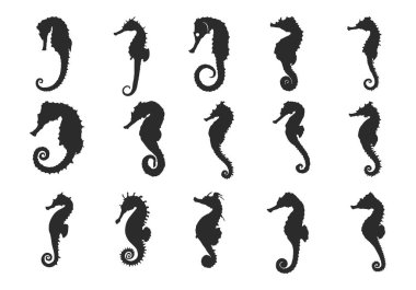 Deniz atı silueti, Seahorse SVG, Seahorse simgesi seti, Seahorse Clipart, Seahorse vektör çizimi