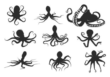 Octopus silueti, Octopus vektörü, Octopus SVG, Octopus siluetleri, Octopus clipart, Octopus simgesi seti