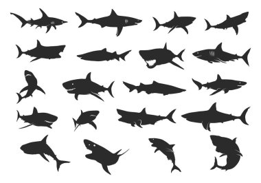 Köpekbalığı silueti, Shark siluetleri, Shark SVG, Shark simgesi seti, Shark clipart, Shark vektör ilüstrasyonu