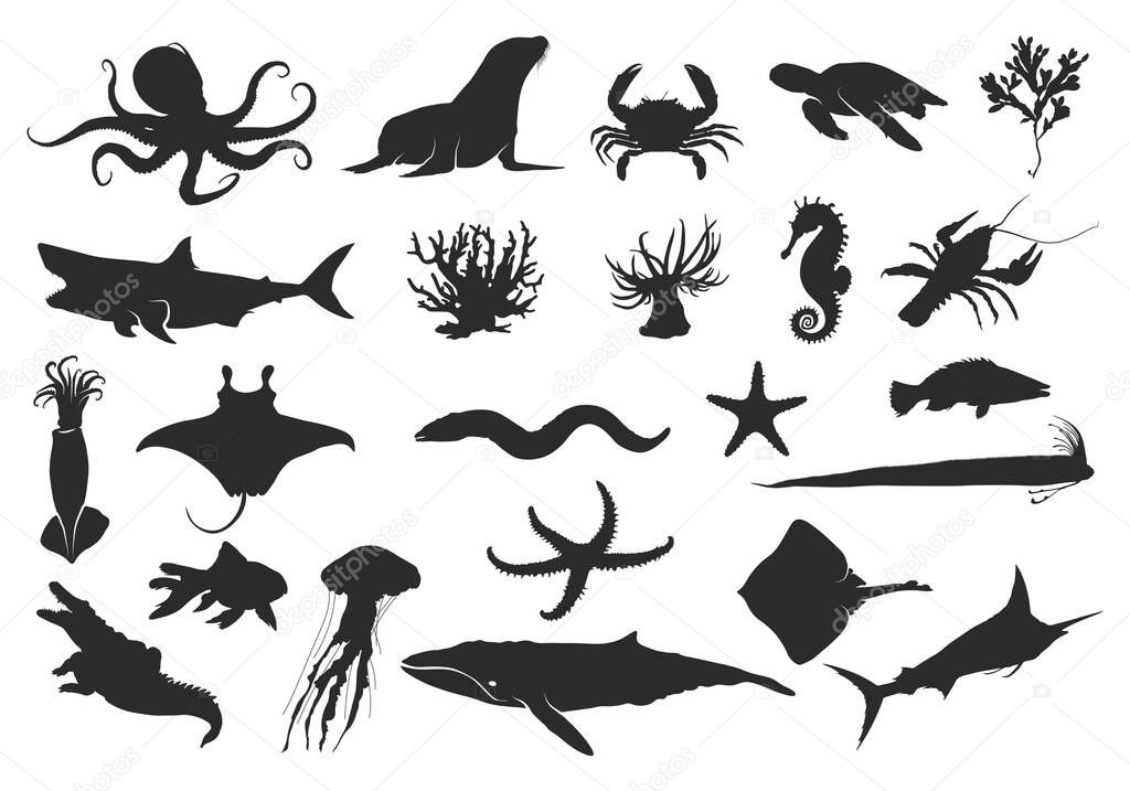 Sea animal silhouette, Ocean animal silhouette, Black silhouettes of fish, seahorse, shells, octopus, squid, jellyfish, dolphins, starfish, turtles, sharks, whales, crabs, seals,eel and stingrays, Sea animal svg, Animal vector clipart, Sea life.
