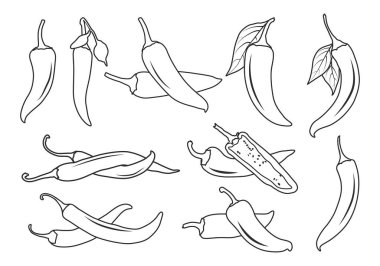 Chili biberli taslak, Chili biberli SVG, Chili biberli kırpıcı, Chili biberli siluet, Chili ikonu, Chili SVG, Hot chili svg, Hot biberli SVG, Half chili SVG, Chili özet paketi