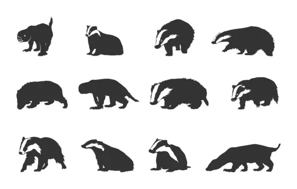 stock vector Badger silhouettes, Badger clipart silhouette, Badger vector set, Badger svg. 