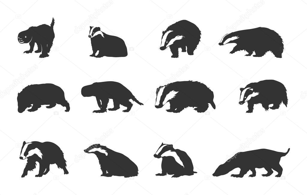 Badger silhouettes, Badger clipart silhouette, Badger vector set, Badger svg.