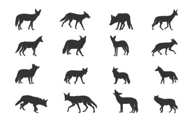 Çakal silueti, Vahşi çakal silueti, Çakal silueti, Çakal silueti, Çakal vektör çizimi