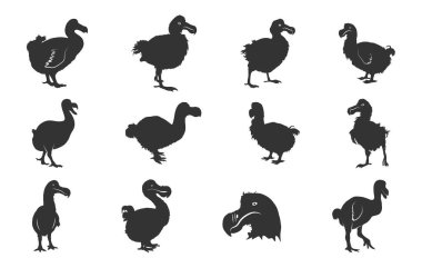 Dodo siluetleri, Dodo kuş silueti, Dodo kuş svg, Dodo svg, Dodo kuş vektör çizimi