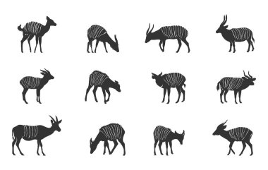 Bongo hayvan silueti, Bongo siluetleri, Bongo svg, Bongo hayvan vektör seti, Bongo antilop silueti, Bongo clipart