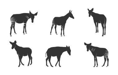 Okapi hayvan siluetleri, Okapi svg, Okapi siluetleri, Okapi hayvan svg, Okapi clipart, Okapi hayvan vektör ilülasyonu. 