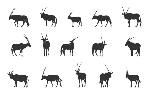 stock vector Oryx silhouettes, Horned animal silhouettes, Horned oryx svg, Oryx svg, Oryx gazella svg, Oryx vector set.