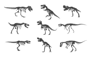 Dinozor iskeleti, dinazor iskeleti silueti, dinozor kemikleri silueti, dinozor silueti, dinazor silueti, dinazor svg
