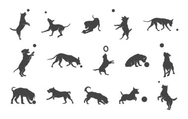 Köpeğin top siluetiyle oynaması, köpeğin top siluetiyle oynaması, köpeğin silueti oynaması, köpeğin klibiyle oynaması, köpeğin top silueti oynaması, köpeğin top silueti oynaması..