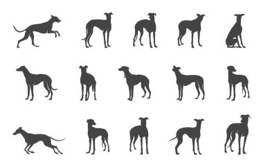 Greyhound Svg, Greyhound Dog Silhouette, Greyhound Dog Svg, Greyhound Dog Svg, Greyhound Dog Clipart, Greyhound Dog Vectors. 