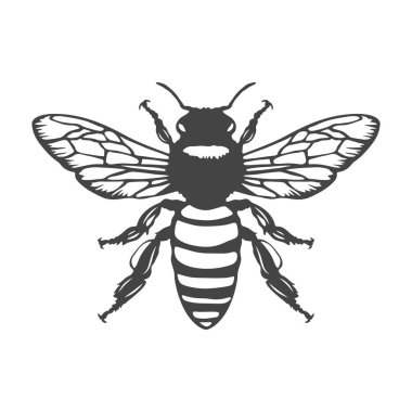 Bal arısı vektör logosu. Bal arısı logosu, Bal arısı ikonu, Bal arısı silueti, Bal arısı ikonu, Bal arısı ikonu.