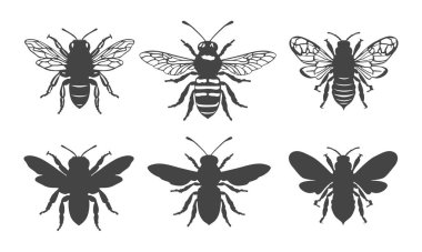 Bal arısı silueti, bal arısı silueti, arı silueti, uçan arı silueti, bal arısı ikonu, arı vektör ikonu, bal arısı klipsi, bal arısı vektörü..