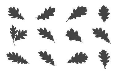 Meşe yaprağı svg, meşe yaprağı silueti, meşe yaprağı vektörü, meşe yaprağı clipart, Yaprak svg, Yaprak silueti.