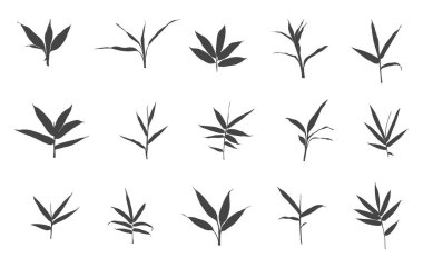 Bambu yaprağı svg, bambu yaprağı silueti, bambu yaprağı vektörü, bambu yaprağı ikonu, bambu yaprağı tırnağı..
