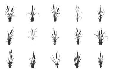 Cattail svg, Cattail svg, Cattail plant silueti, Cattail plant svg, Cattail vektörleri, Cattail clipart, Cattail simgesi seti.  